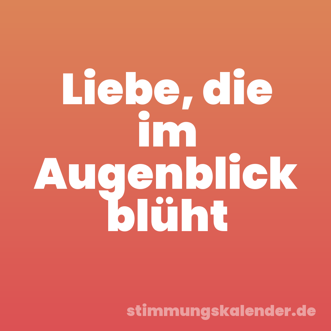 Liebe, die im Augenblick blüht