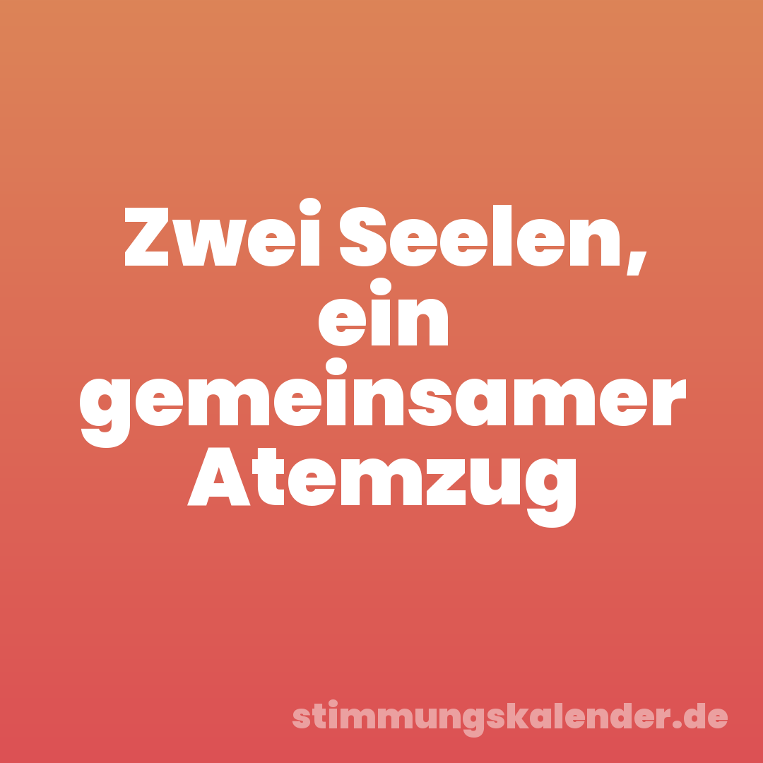 Zwei Seelen, ein gemeinsamer Atemzug