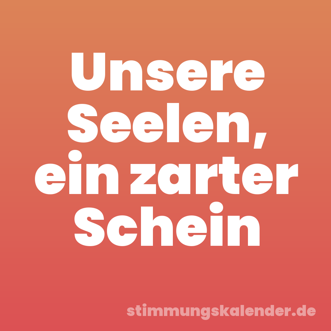 Unsere Seelen, ein zarter Schein