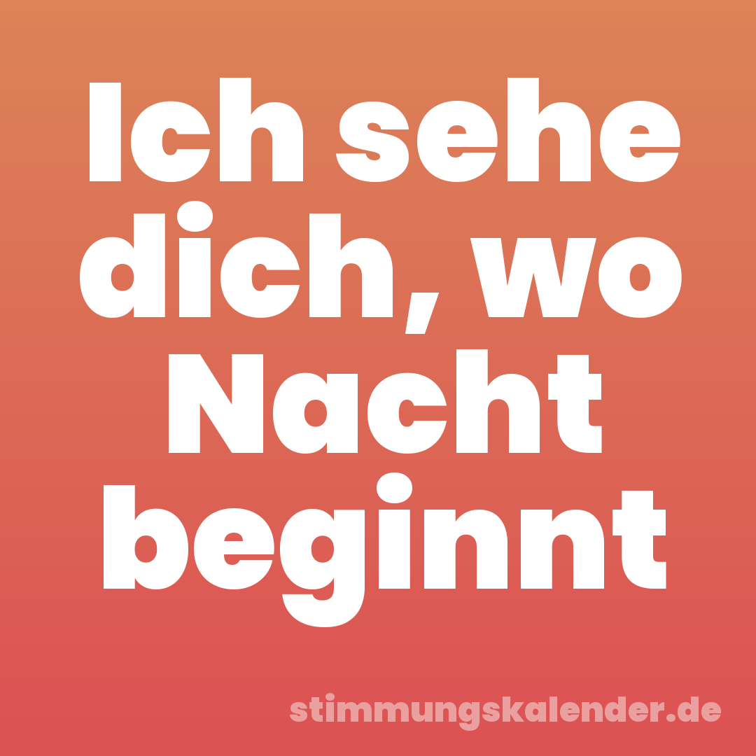 Ich sehe dich, wo Nacht beginnt