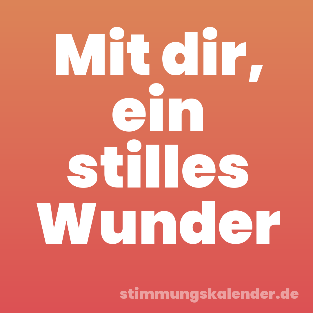 Mit dir, ein stilles Wunder