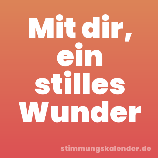 Mit dir, ein stilles Wunder