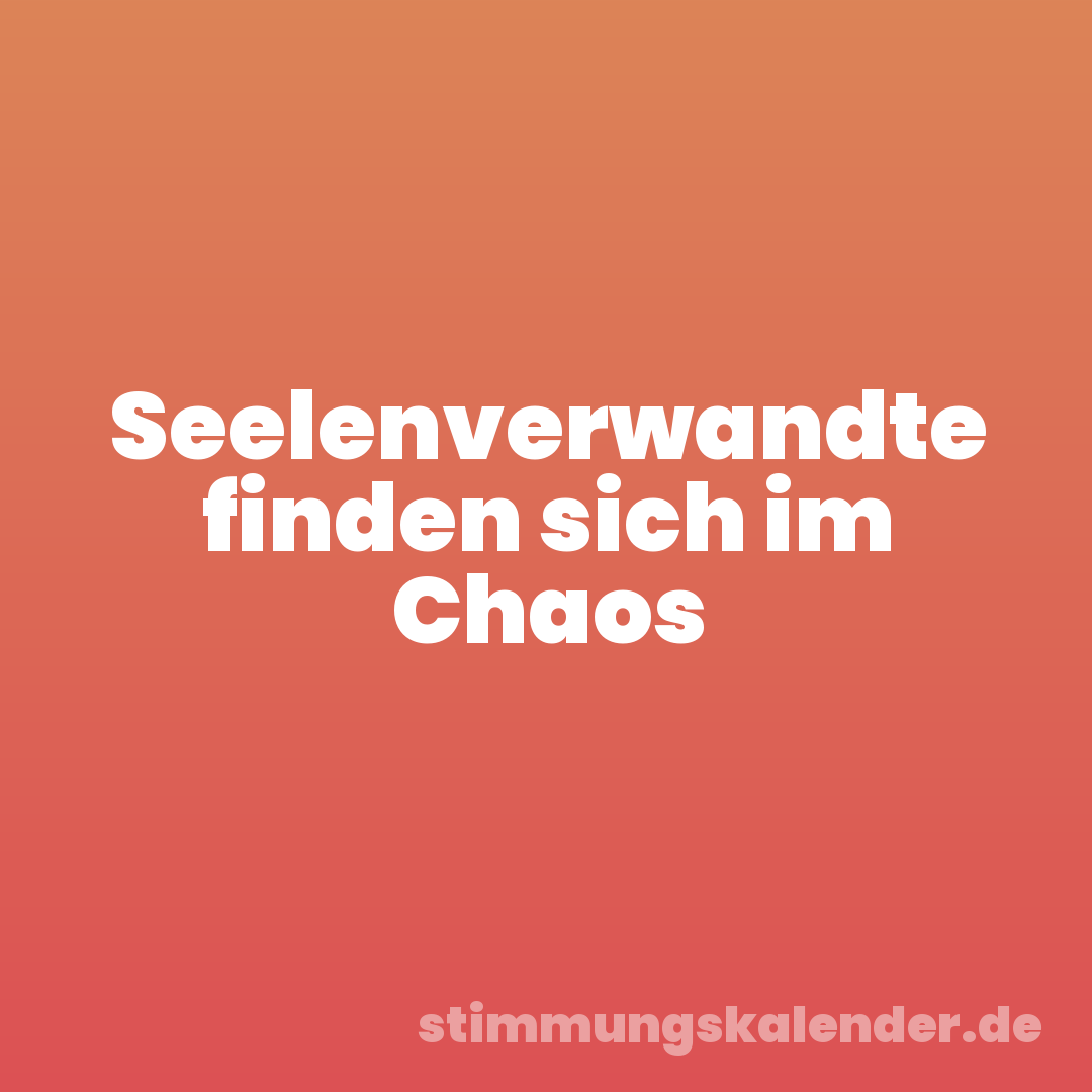Seelenverwandte finden sich im Chaos