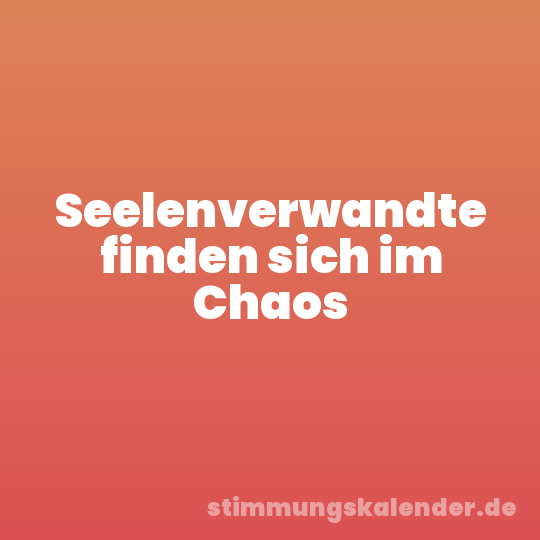 Seelenverwandte finden sich im Chaos