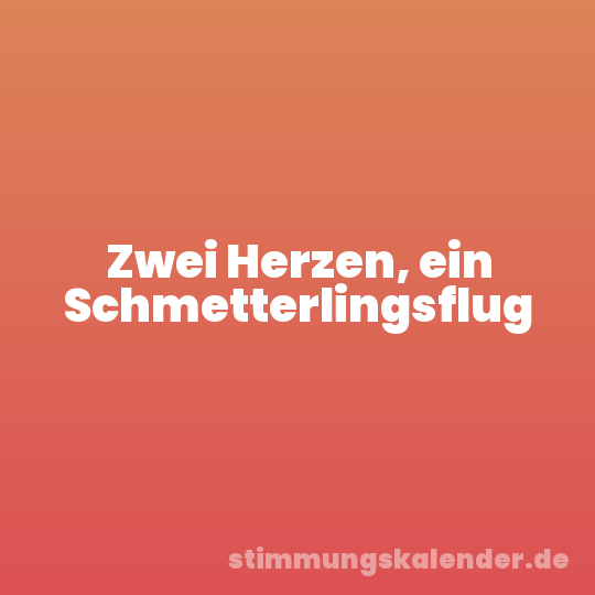 Zwei Herzen, ein Schmetterlingsflug