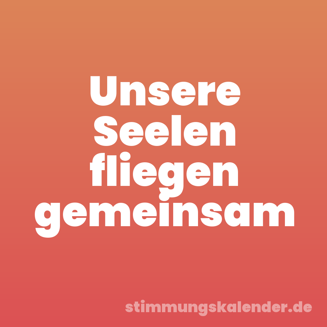 Unsere Seelen fliegen gemeinsam