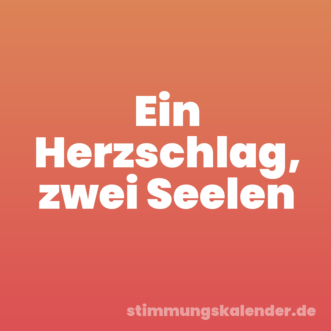 Ein Herzschlag, zwei Seelen