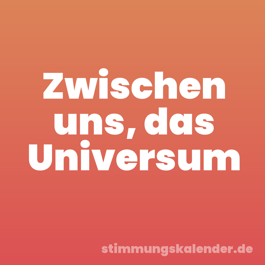 Zwischen uns, das Universum