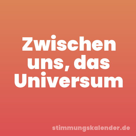 Zwischen uns, das Universum