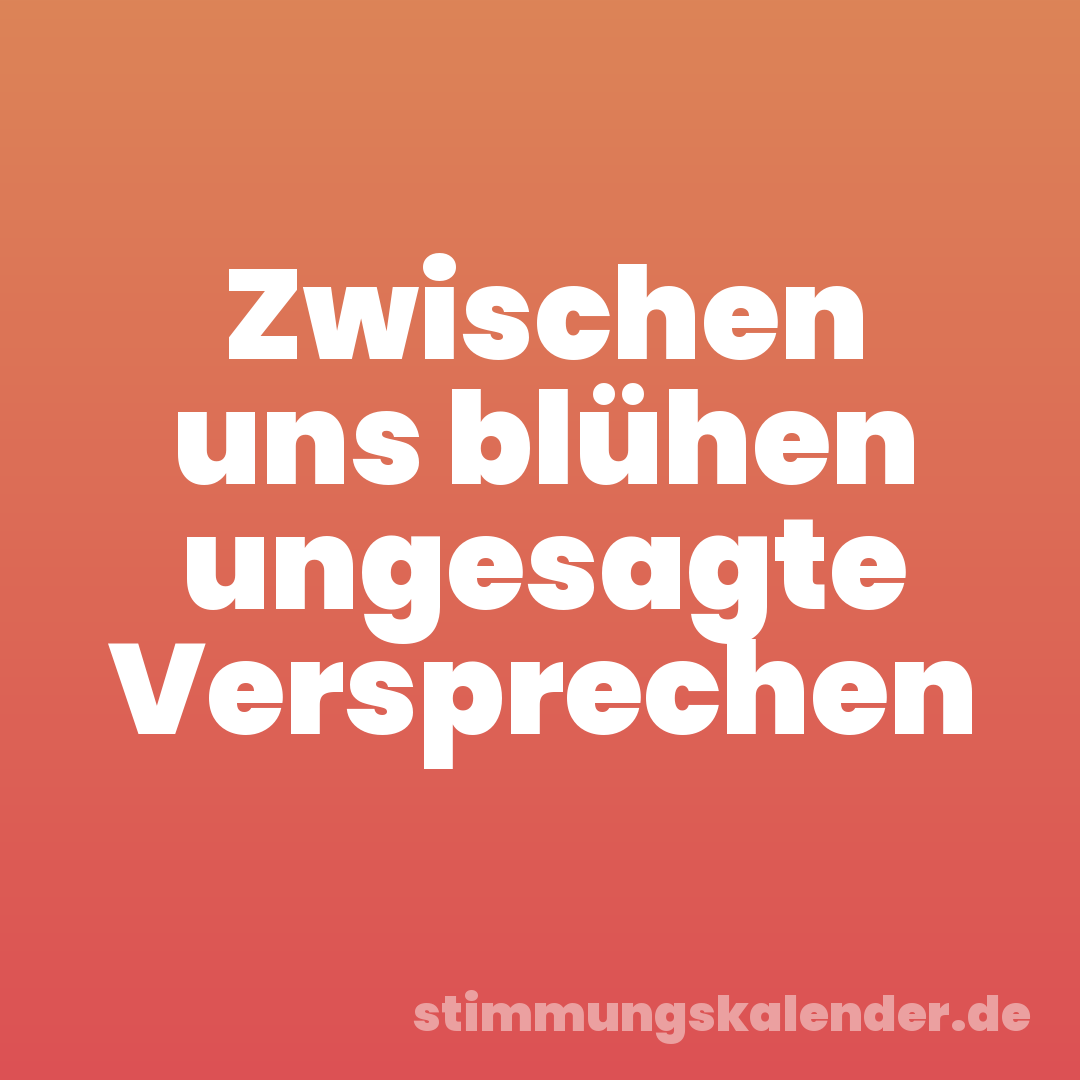 Zwischen uns blühen ungesagte Versprechen