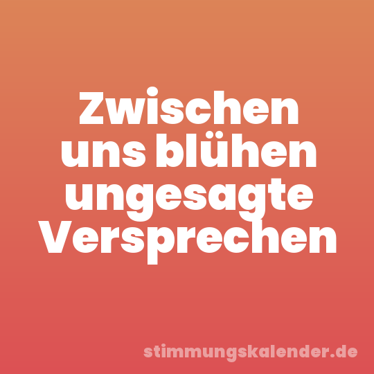 Zwischen uns blühen ungesagte Versprechen