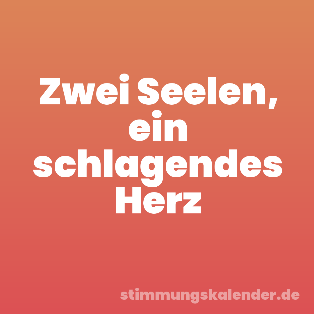 Zwei Seelen, ein schlagendes Herz