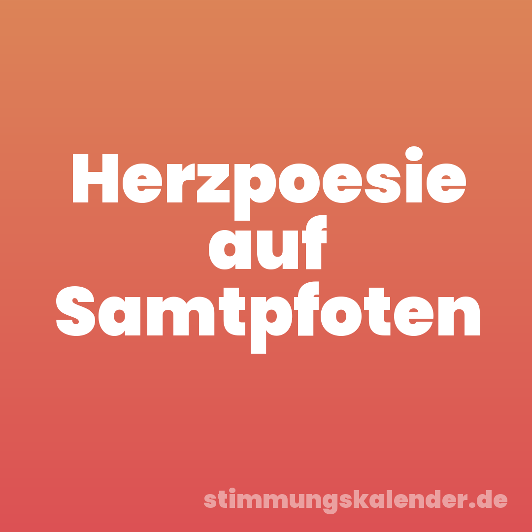 Herzpoesie auf Samtpfoten