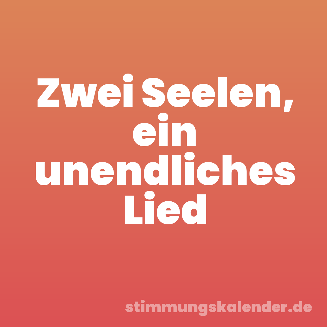 Zwei Seelen, ein unendliches Lied