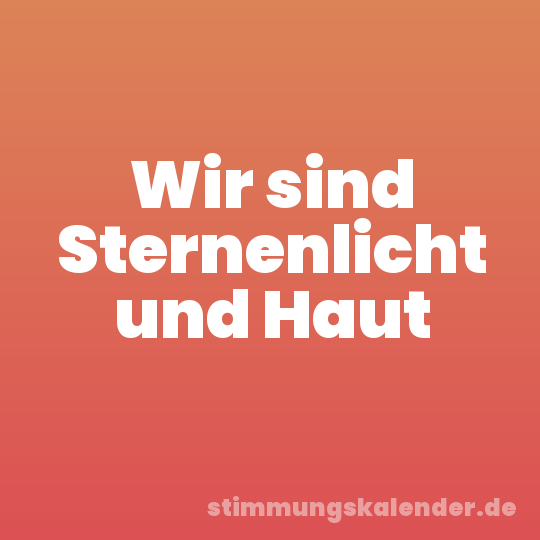 Wir sind Sternenlicht und Haut