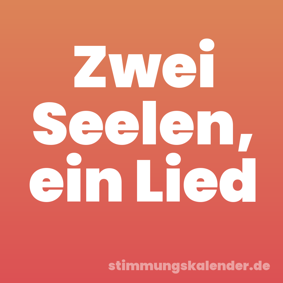 Zwei Seelen, ein Lied