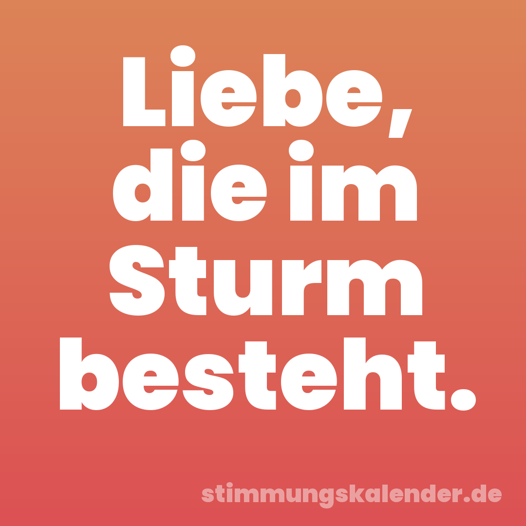 Liebe, die im Sturm besteht.