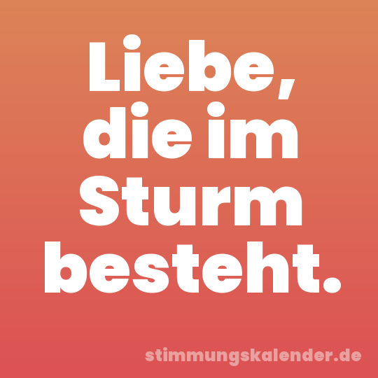Liebe, die im Sturm besteht.