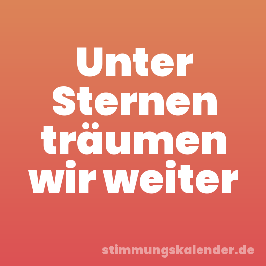 Unter Sternen träumen wir weiter
