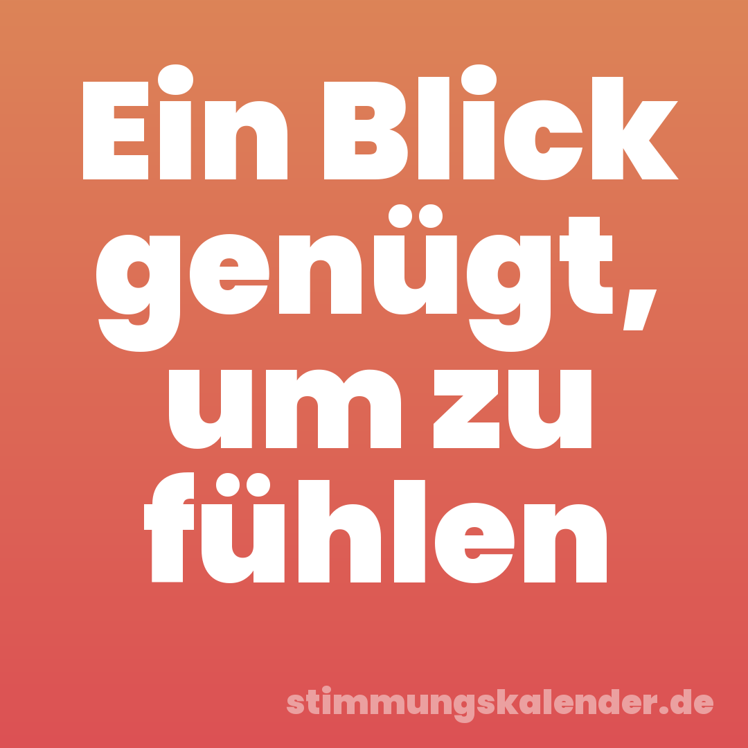 Ein Blick genügt, um zu fühlen