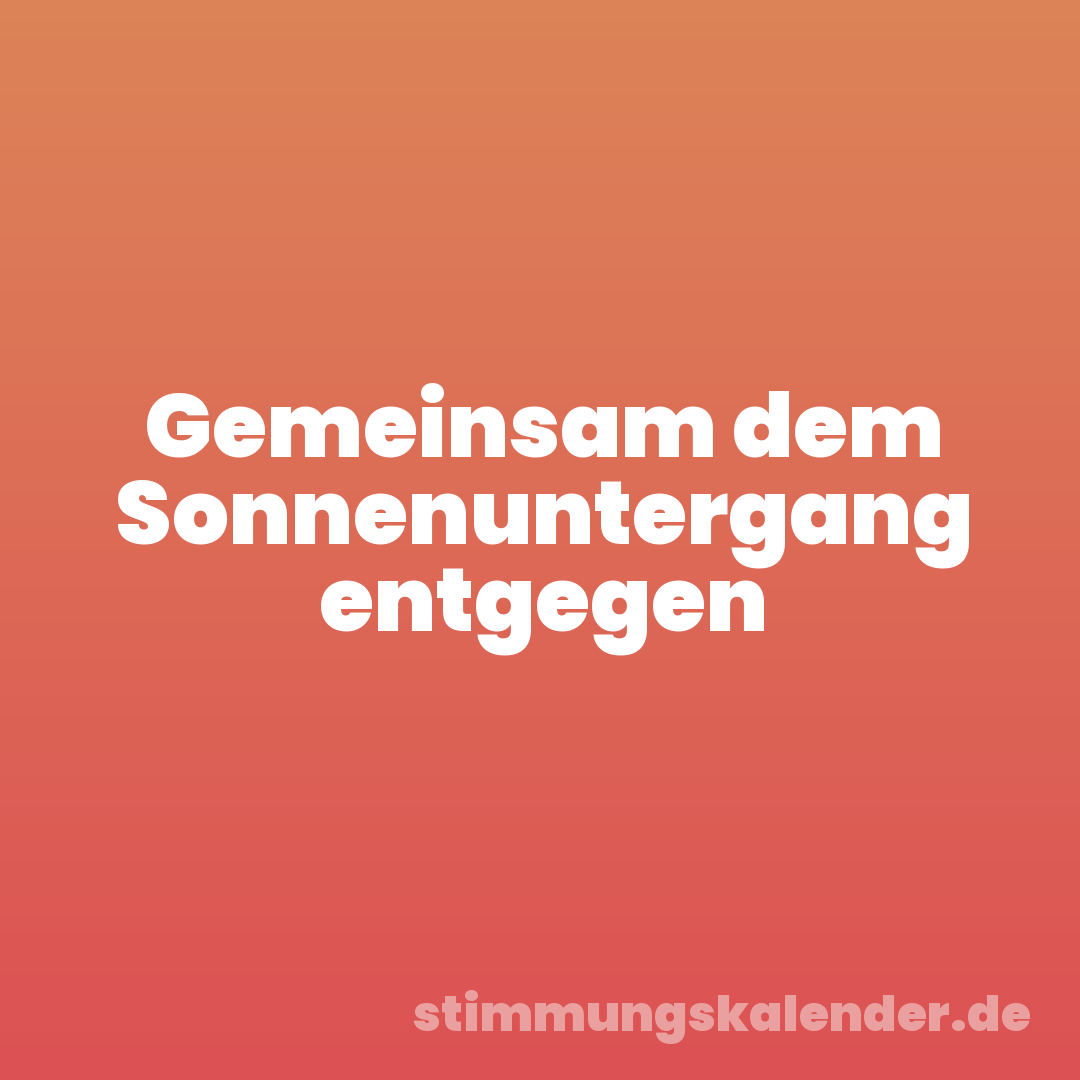 Gemeinsam dem Sonnenuntergang entgegen