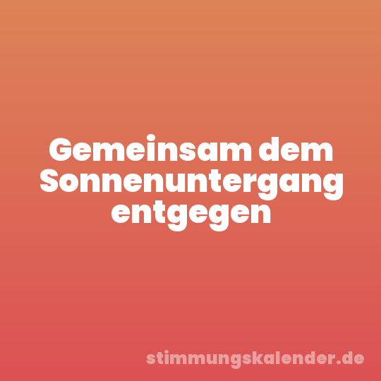 Gemeinsam dem Sonnenuntergang entgegen