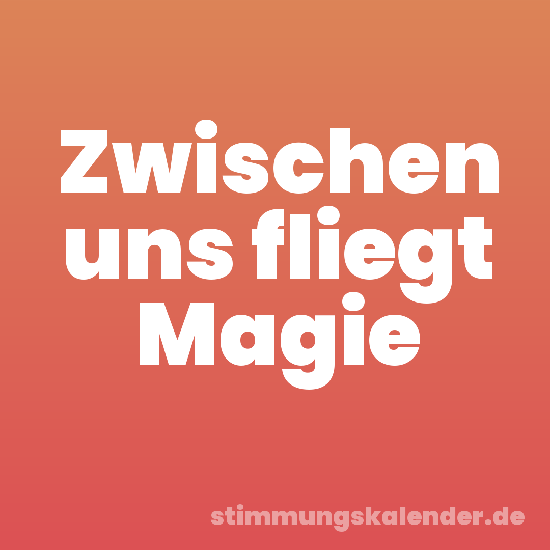 Zwischen uns fliegt Magie