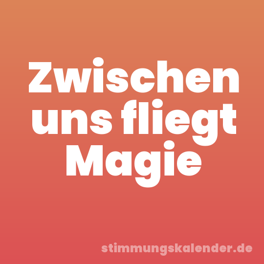 Zwischen uns fliegt Magie