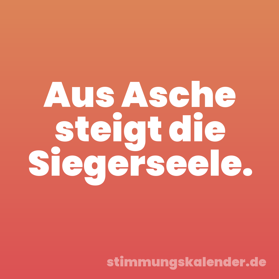 Aus Asche steigt die Siegerseele.