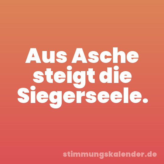 Aus Asche steigt die Siegerseele.