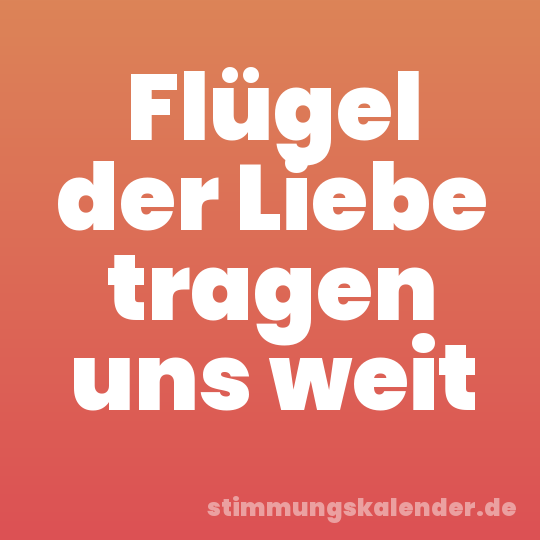 Flügel der Liebe tragen uns weit