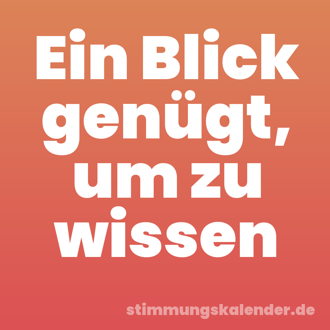 Ein Blick genügt, um zu wissen