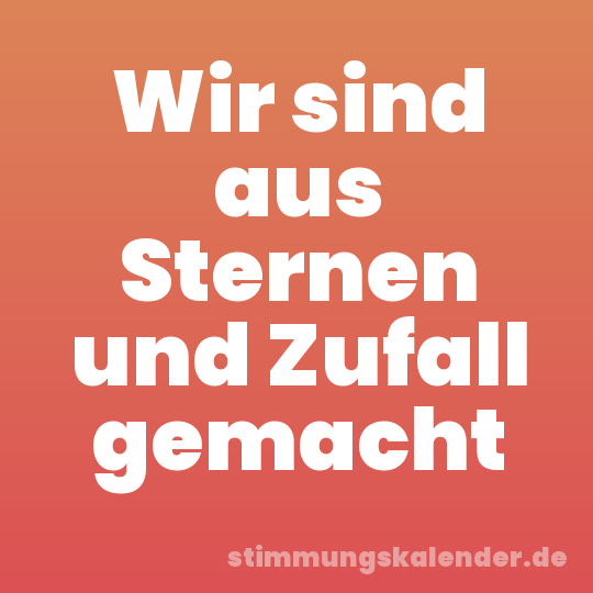 Wir sind aus Sternen und Zufall gemacht