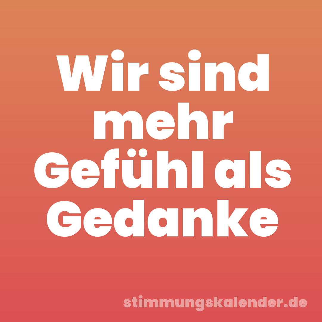 Wir sind mehr Gefühl als Gedanke