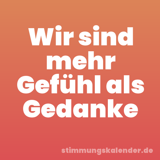 Wir sind mehr Gefühl als Gedanke