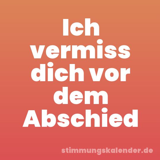 Ich vermiss dich vor dem Abschied