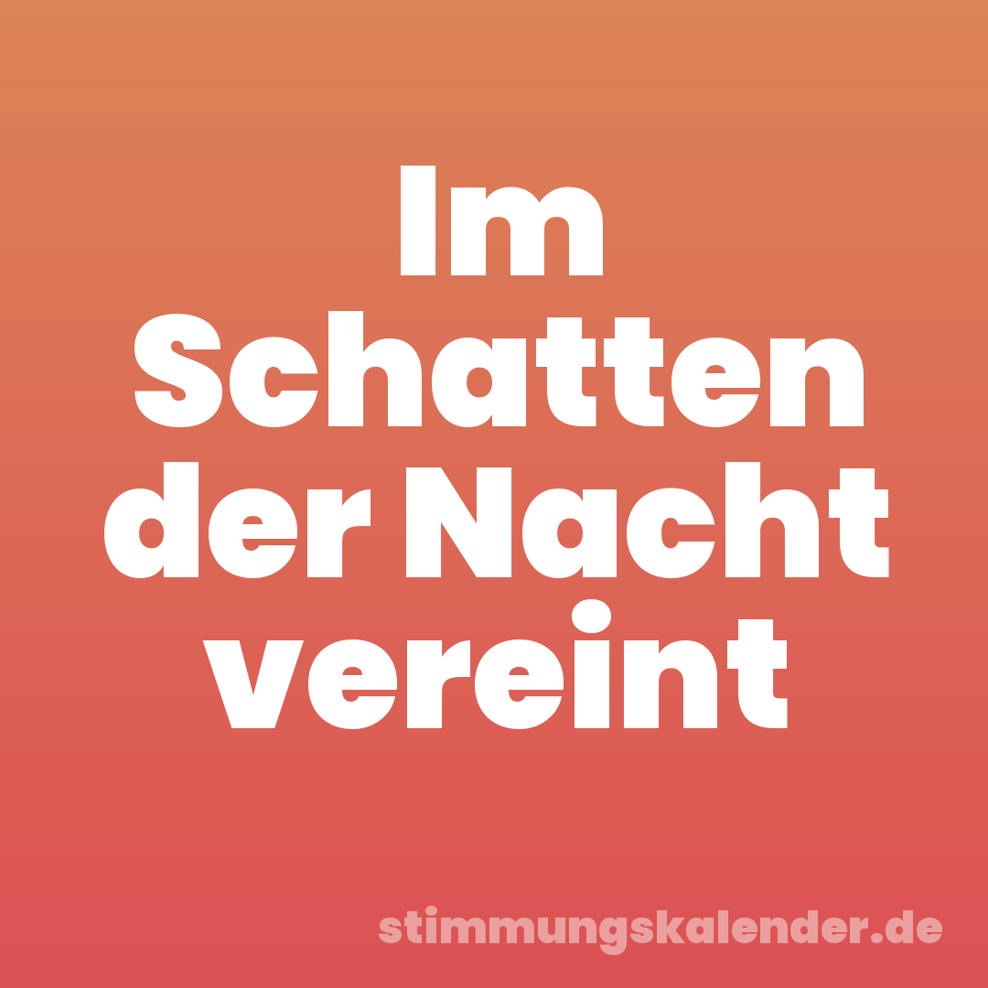 Im Schatten der Nacht vereint