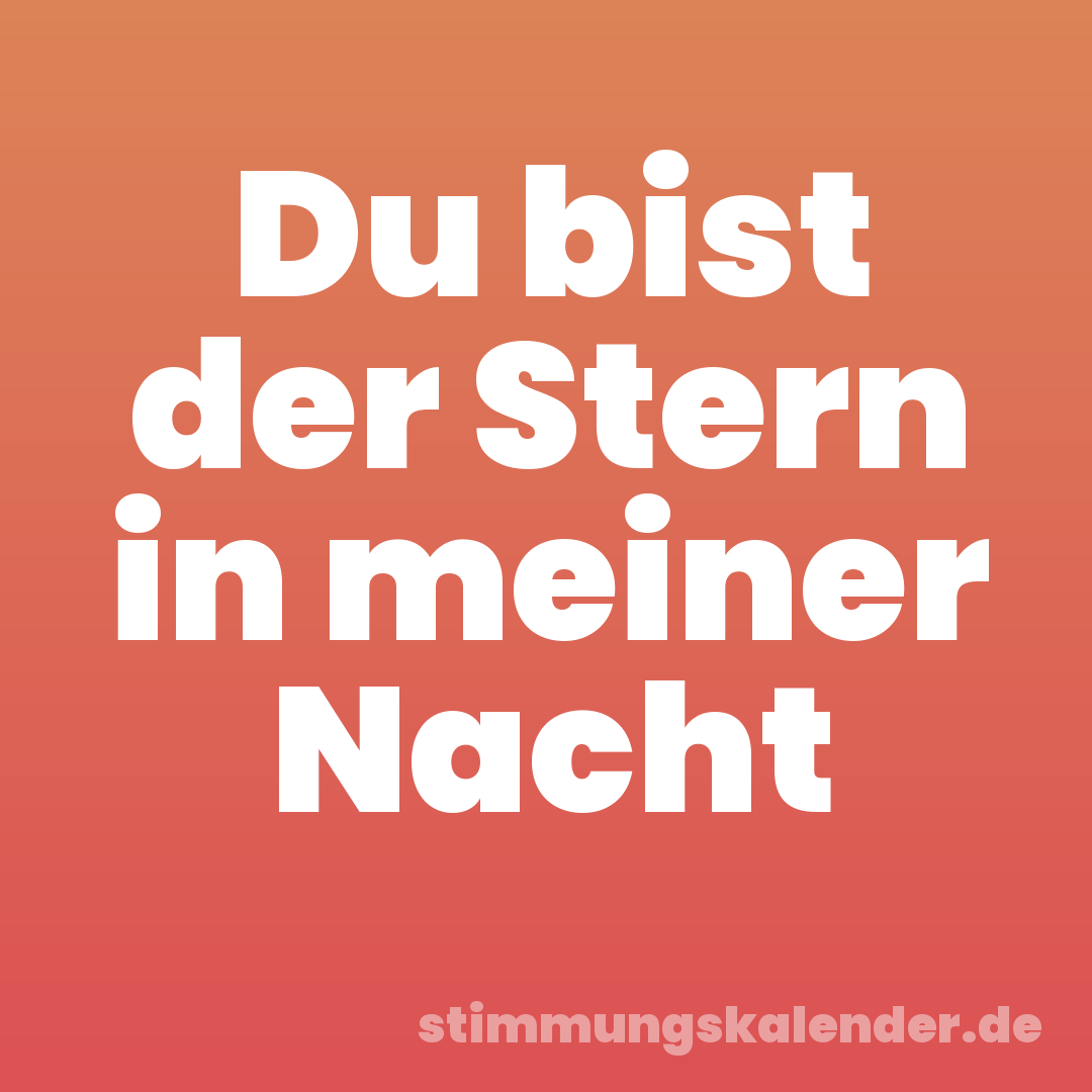Du bist der Stern in meiner Nacht