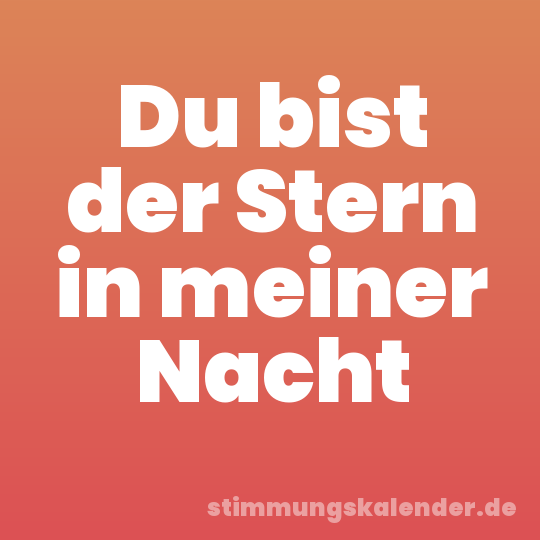 Du bist der Stern in meiner Nacht