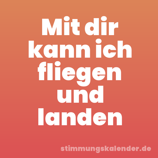 Mit dir kann ich fliegen und landen