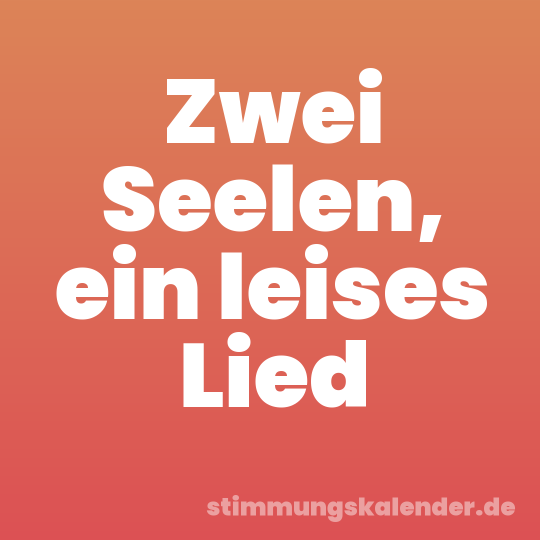 Zwei Seelen, ein leises Lied