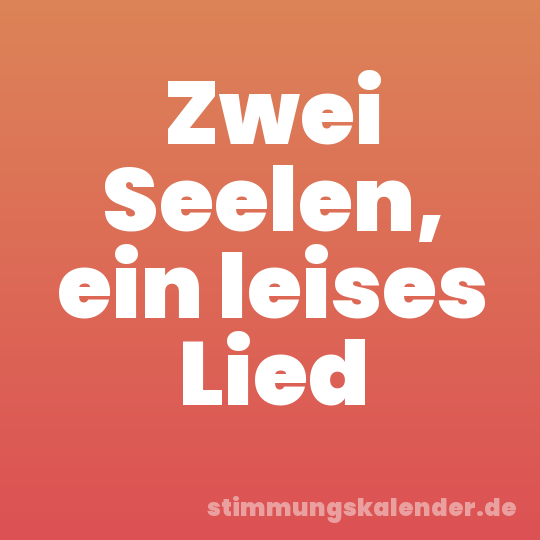 Zwei Seelen, ein leises Lied