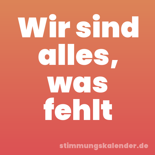 Wir sind alles, was fehlt