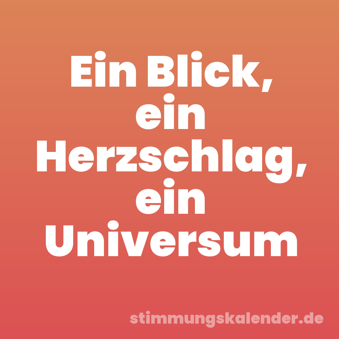 Ein Blick, ein Herzschlag, ein Universum