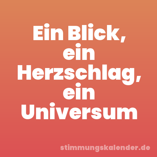 Ein Blick, ein Herzschlag, ein Universum