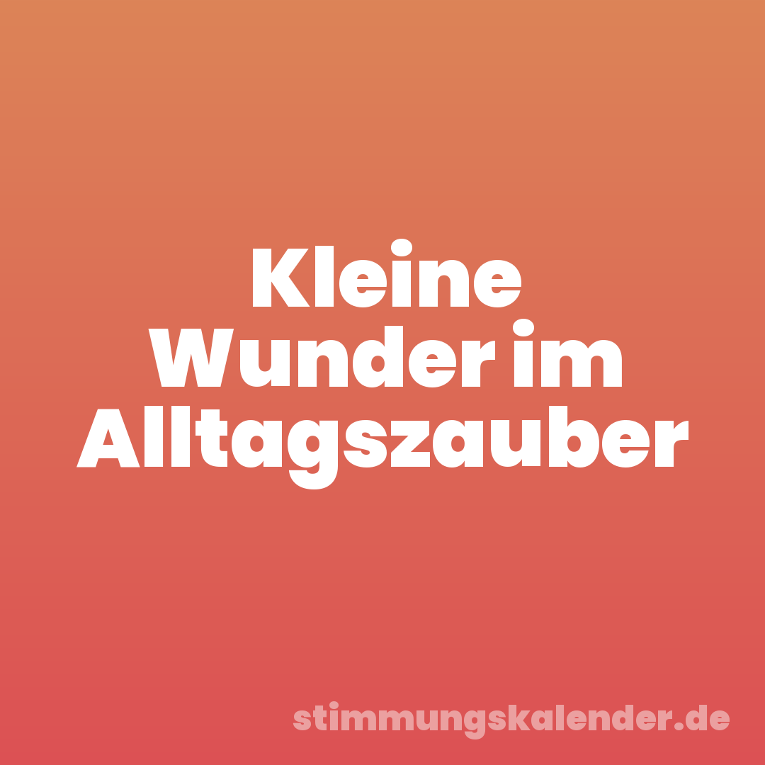 Kleine Wunder im Alltagszauber