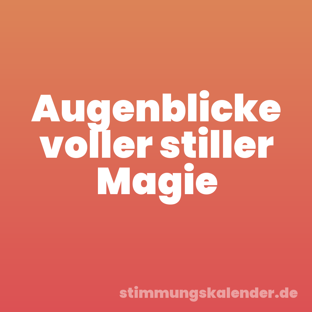 Augenblicke voller stiller Magie