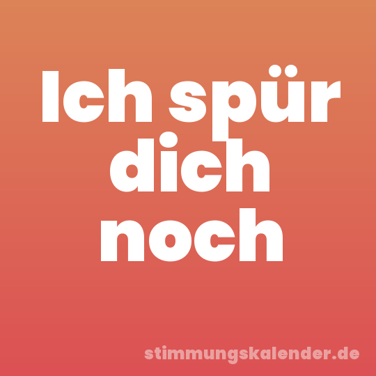 Ich spür dich noch