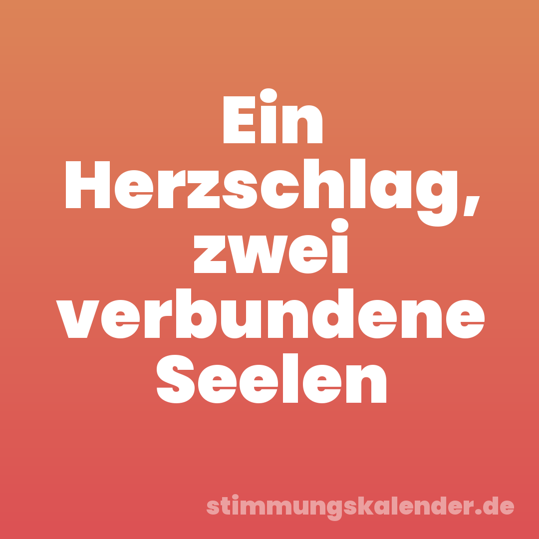 Ein Herzschlag, zwei verbundene Seelen