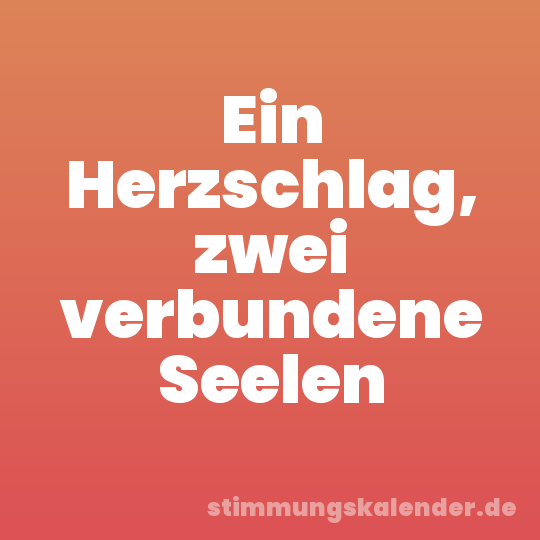 Ein Herzschlag, zwei verbundene Seelen